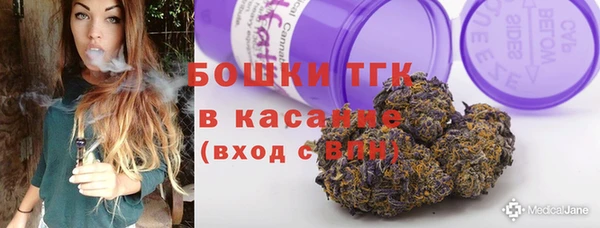 гашик Алзамай