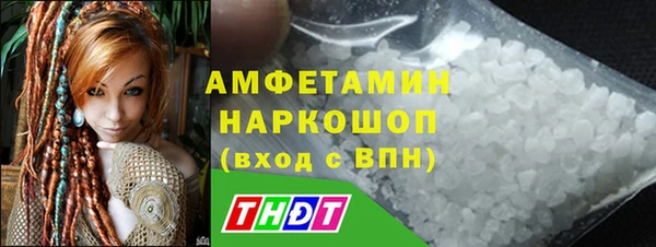 гидра Абаза