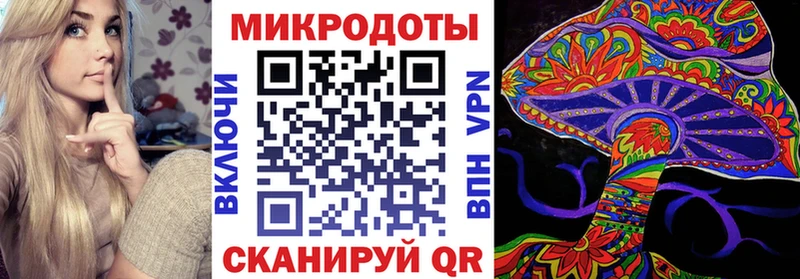 Галлюциногенные грибы Psilocybe  Новочеркасск 